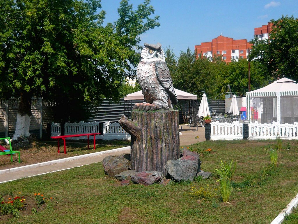 Сова / Owl