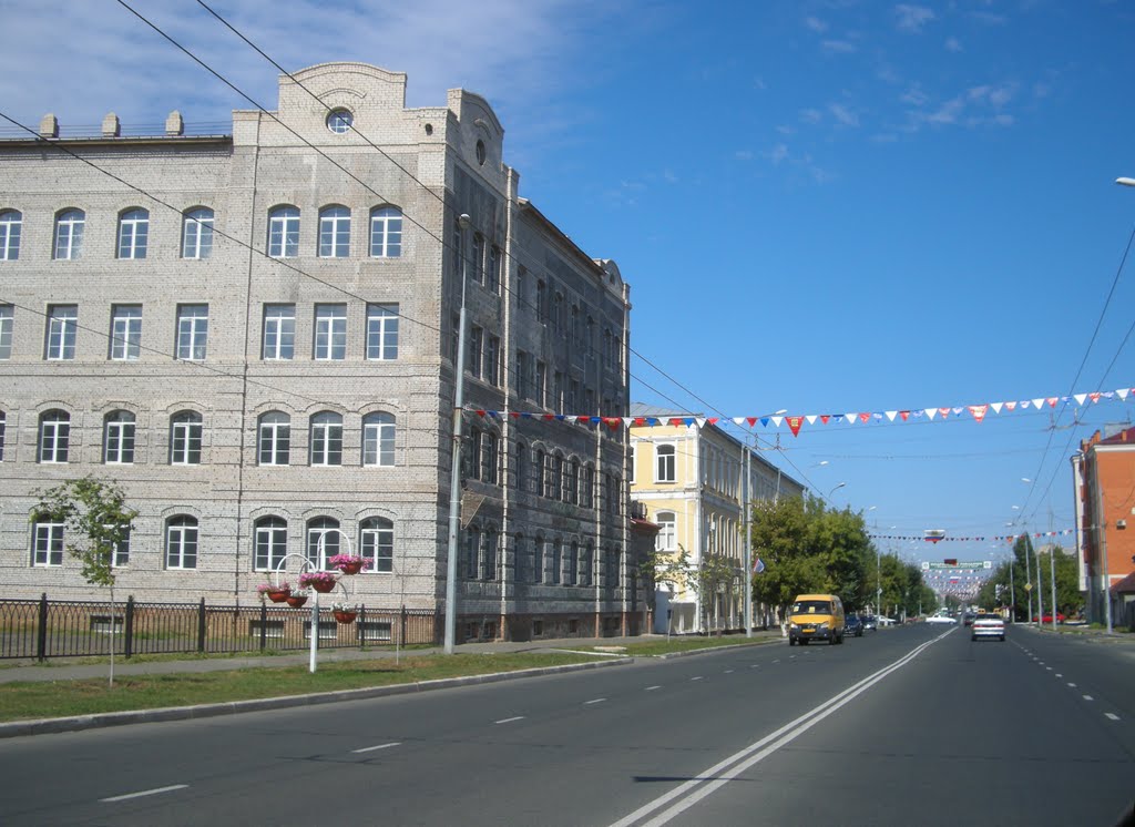Улица Цвилинга