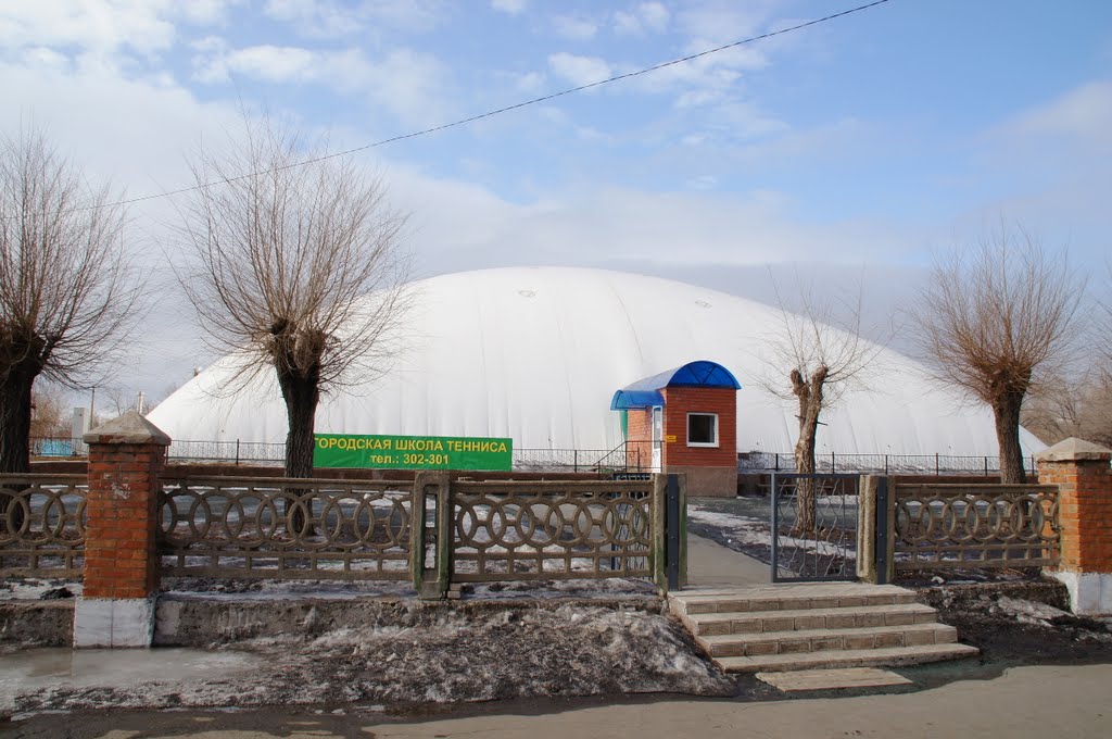 Городская школа тениса. тел.302-301