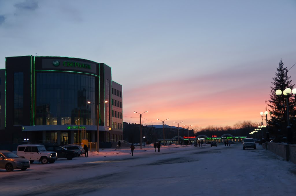 The evening.