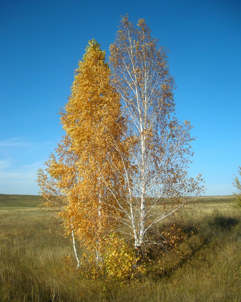 осень