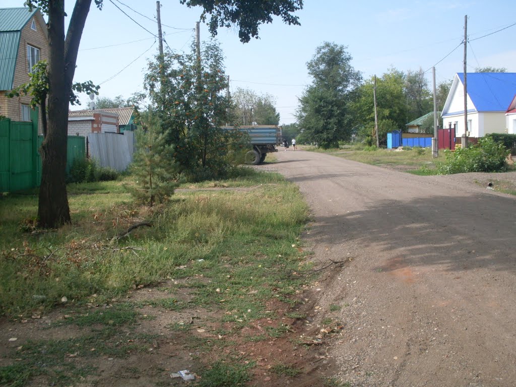 Депутатская