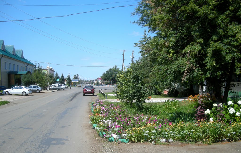 Саракташ. Центр.