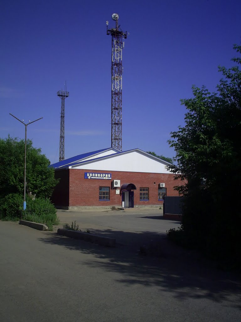 Кулинария
