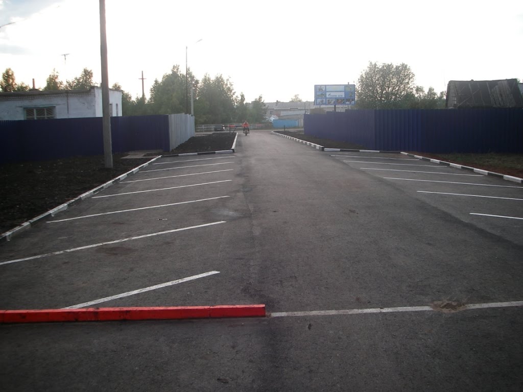 Возле Бора