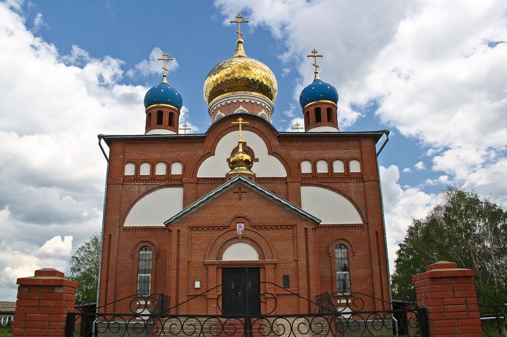 Устремленные в небо