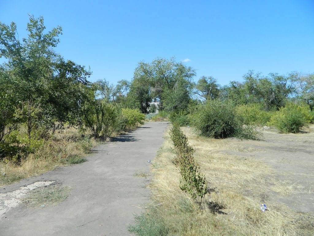 Парк им. Персиянова (Соль-Илецк)