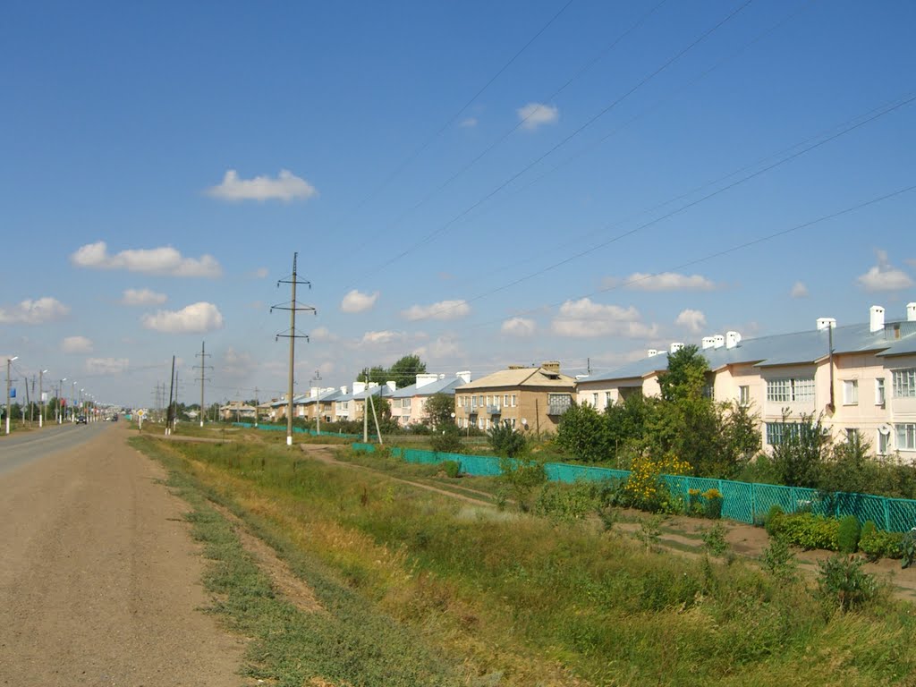 Tashla. Friendship street
