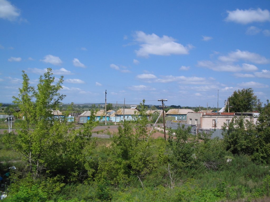 Тоцкое 1