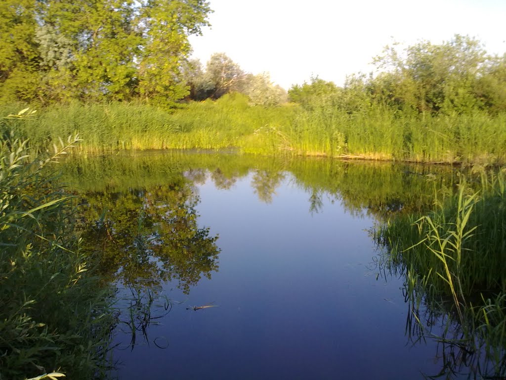 р. Сорочка