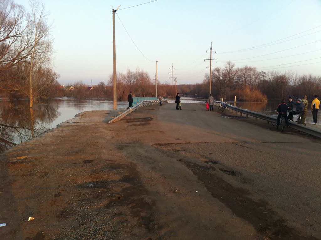 На мосту