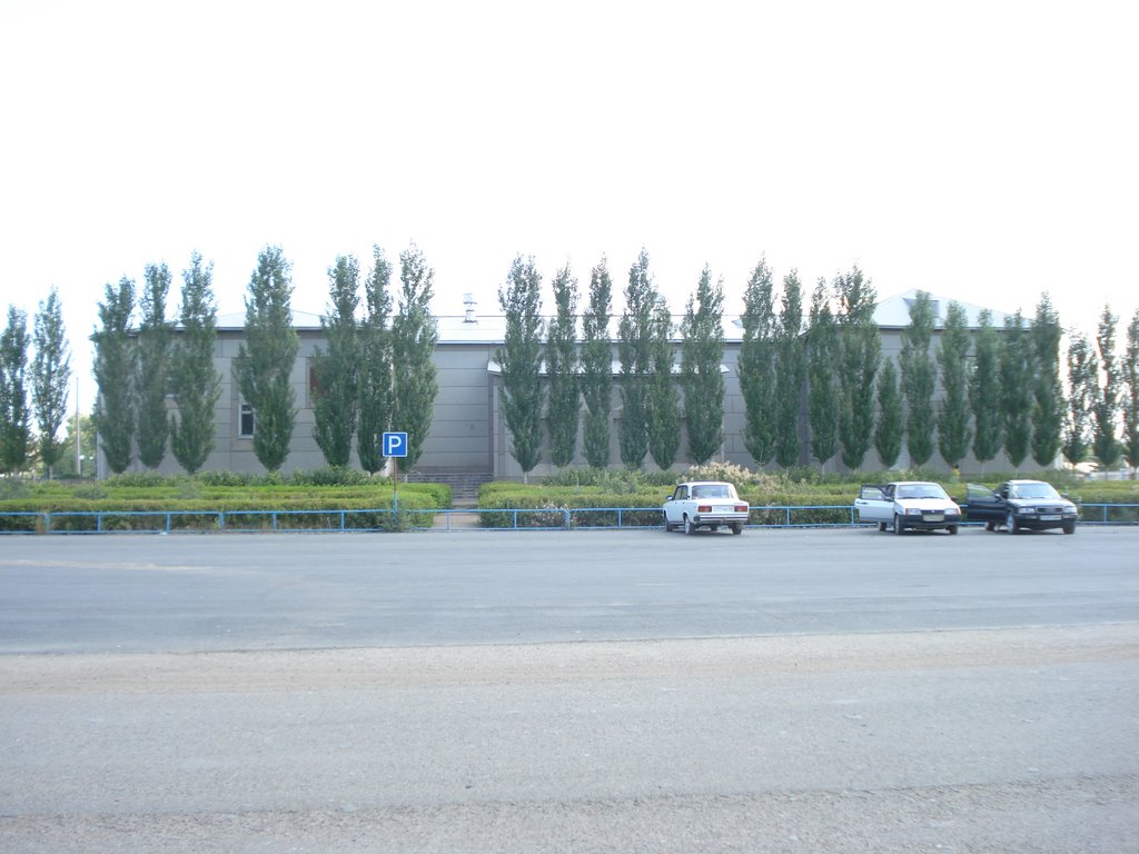 Sarliks local authorities