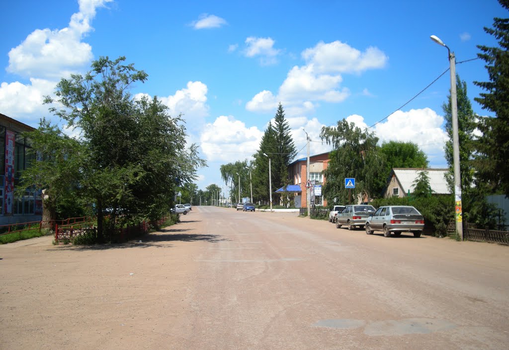 В центре Шарлыка