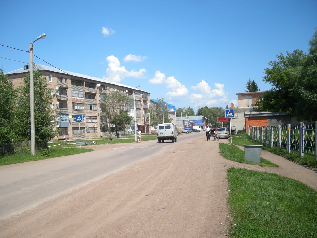 Шарлык, улица Советская