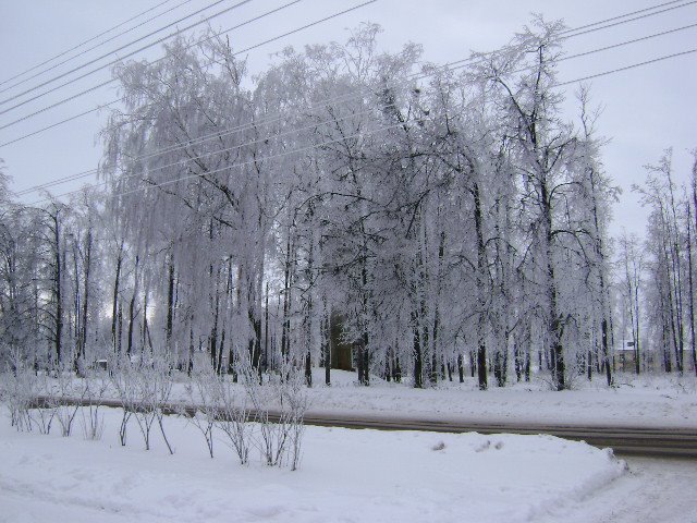 Болхов(больничный парк)