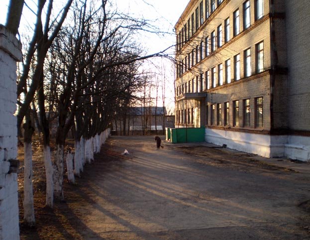 Школа №1