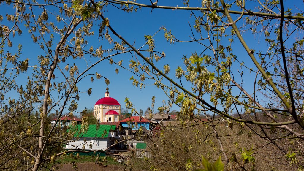 В весенней раме./In the spring frame.