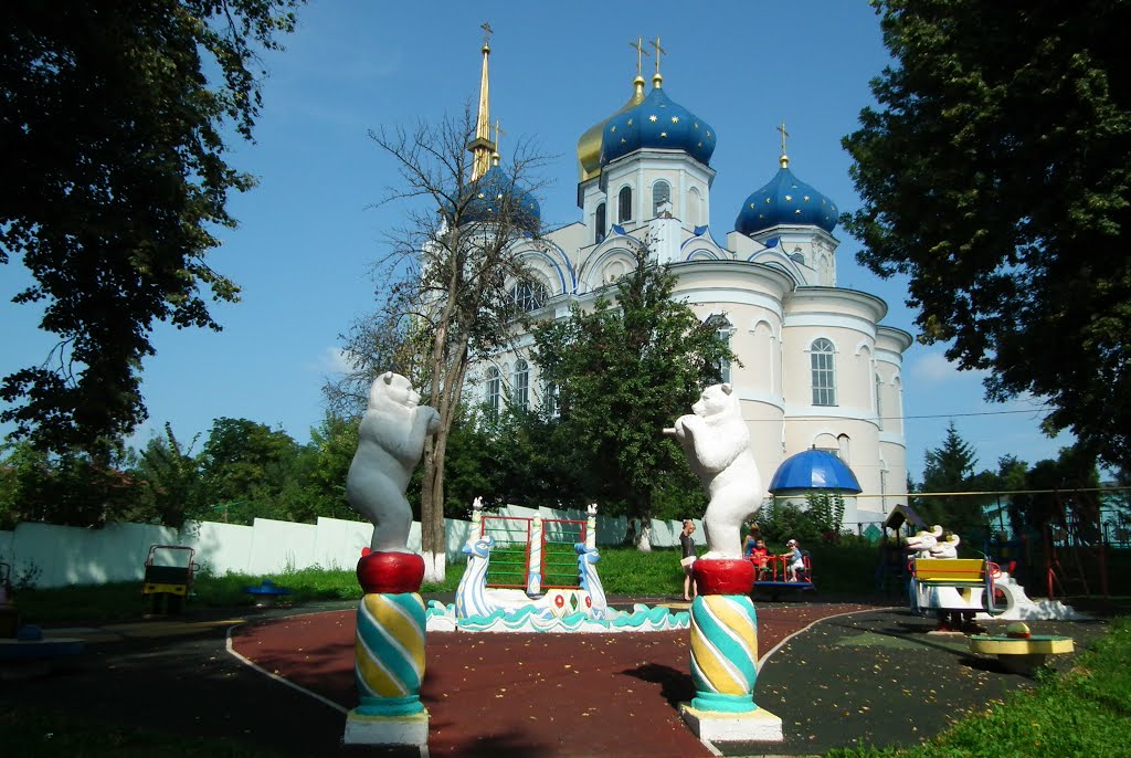 вид из парка