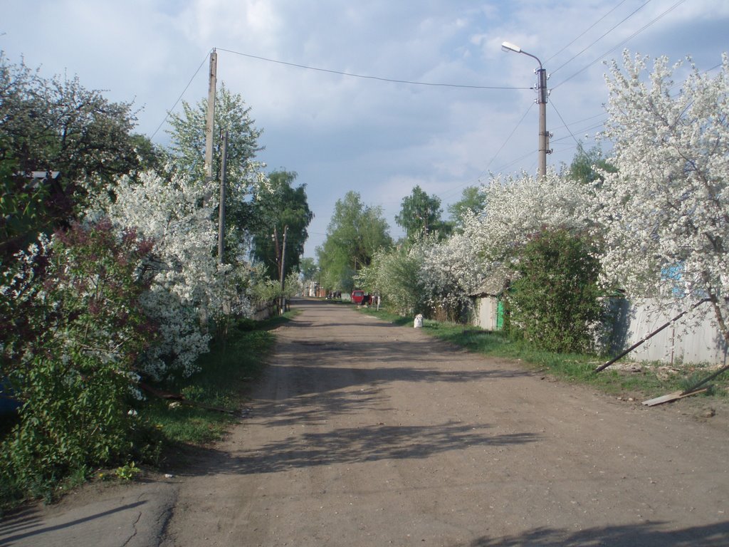 Весна на ул. Чапаева