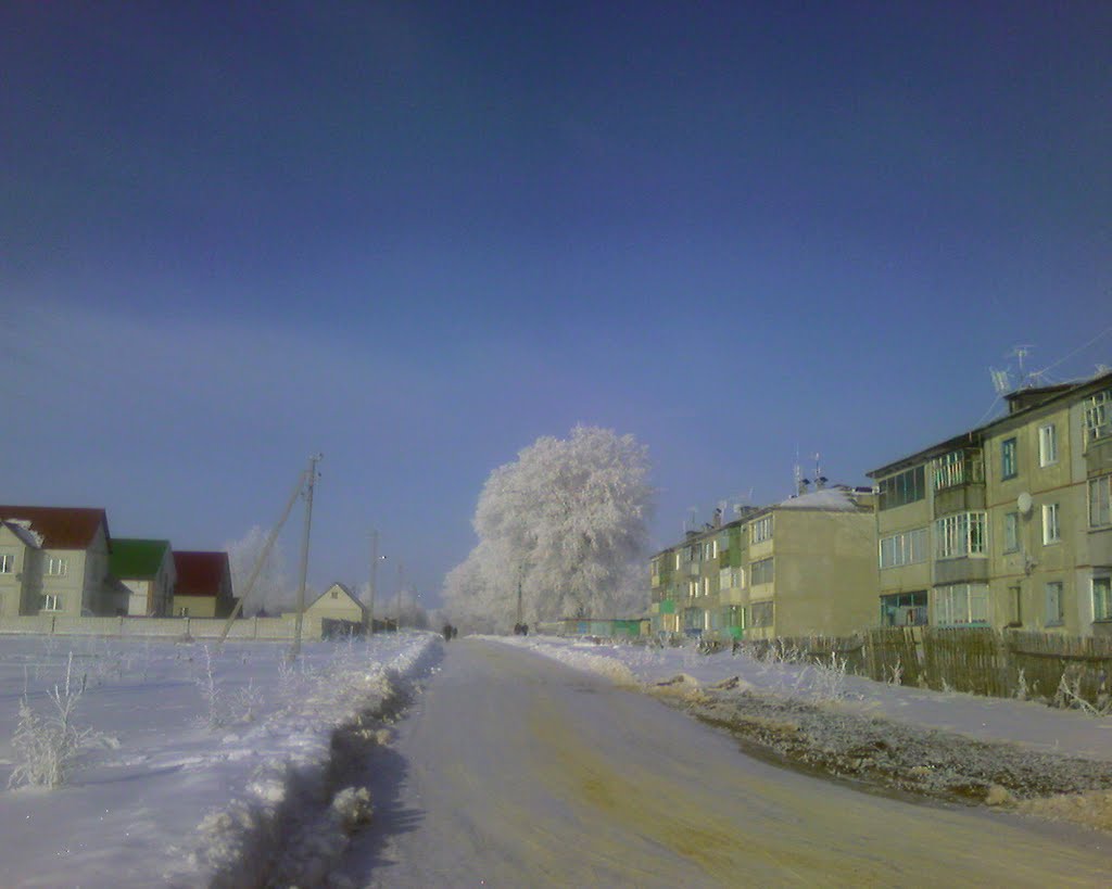 Зимний день