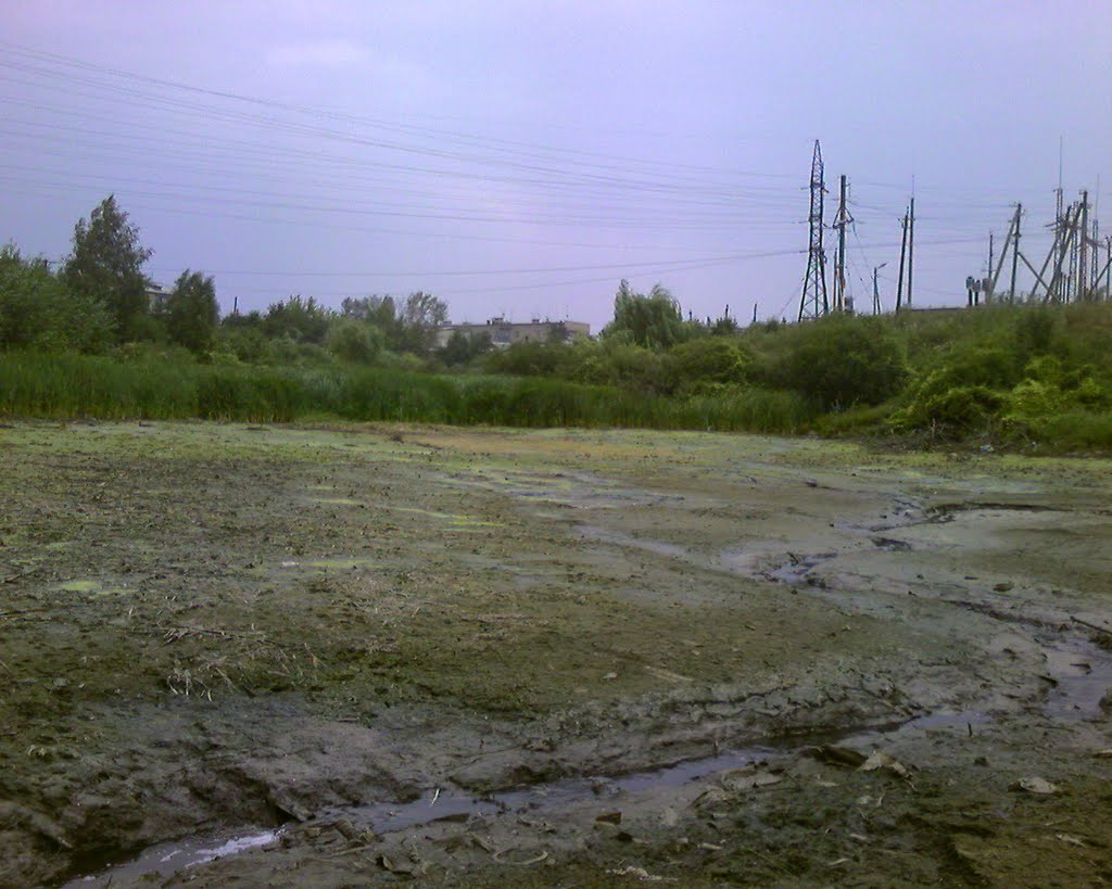 Болото