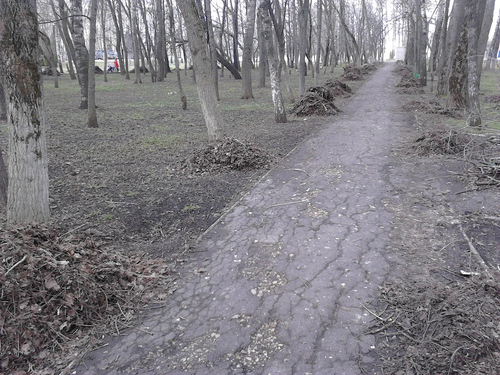 Жители убрали парк