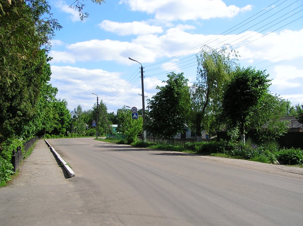 Возле школы в Глазуновке (Near schools Glazunovka)