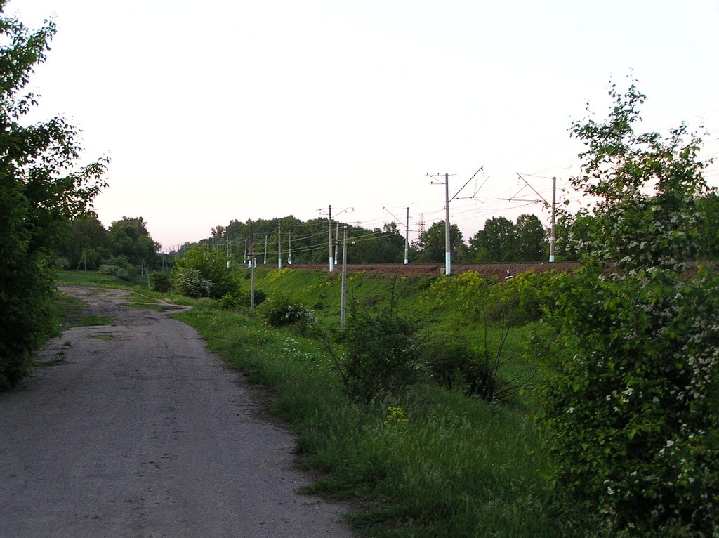 Возле железнодорожного полотна в Глазуновке, дорога на Новополево (Near the railway track Glazunovka, the road to Novopolevo)