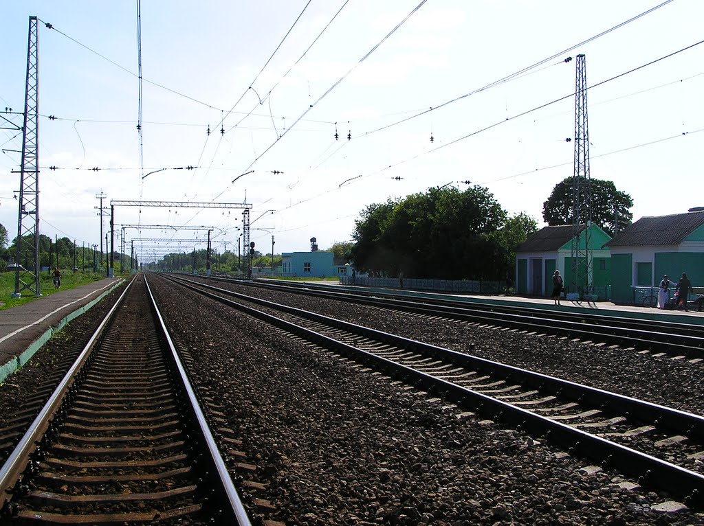 На путях возле вокзала (On the tracks near the station)