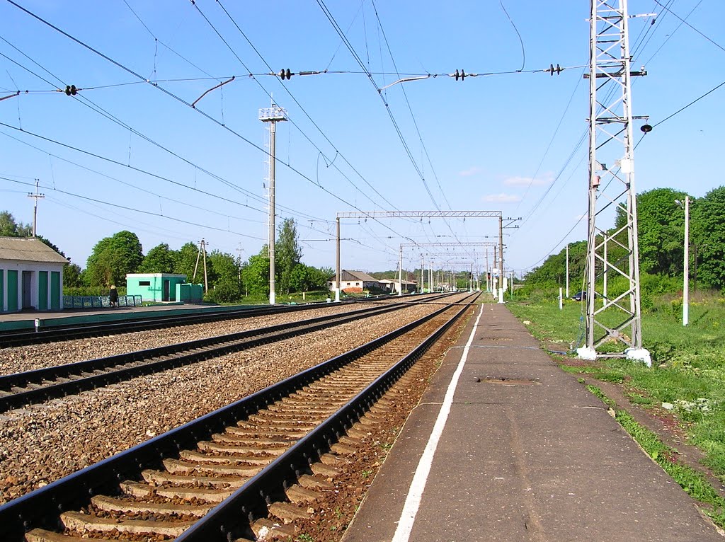 На платформе (On the platform)
