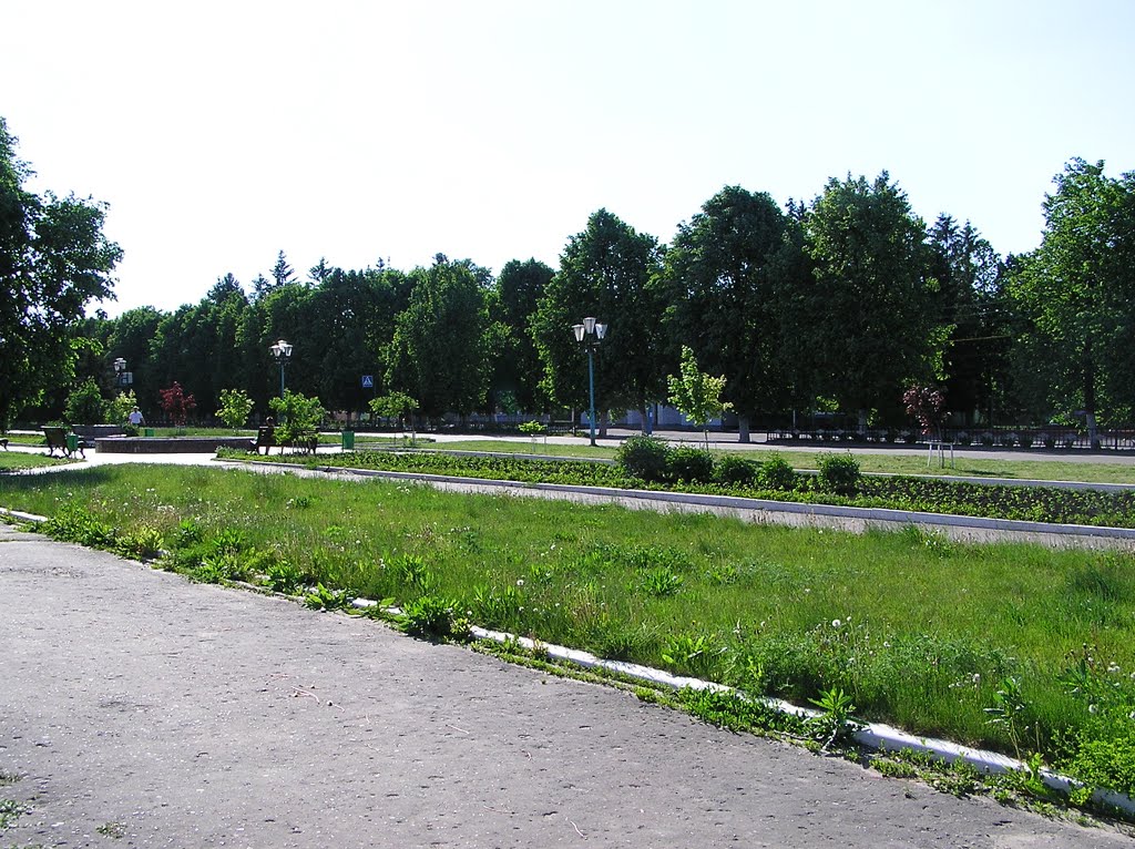 Бульвар (Boulevard)