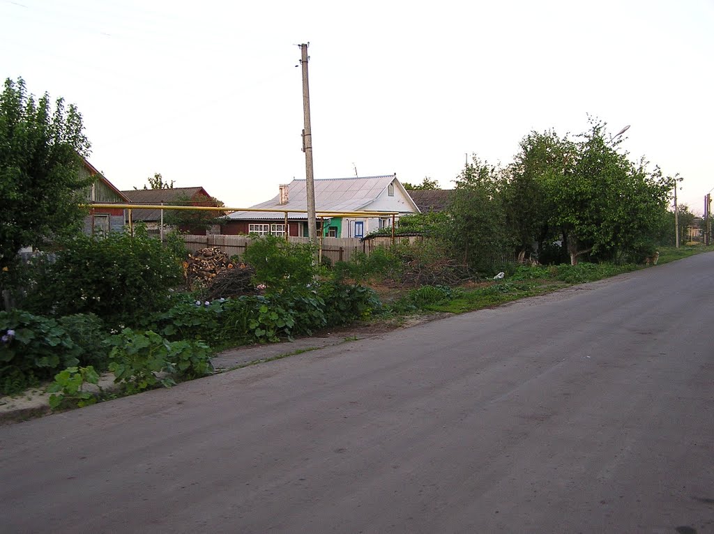 Дом в Глазуновке улица Садовая(Houses in Glazunovka Sadovaya)