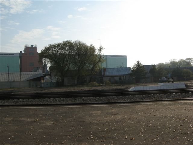 Должанский элеватор