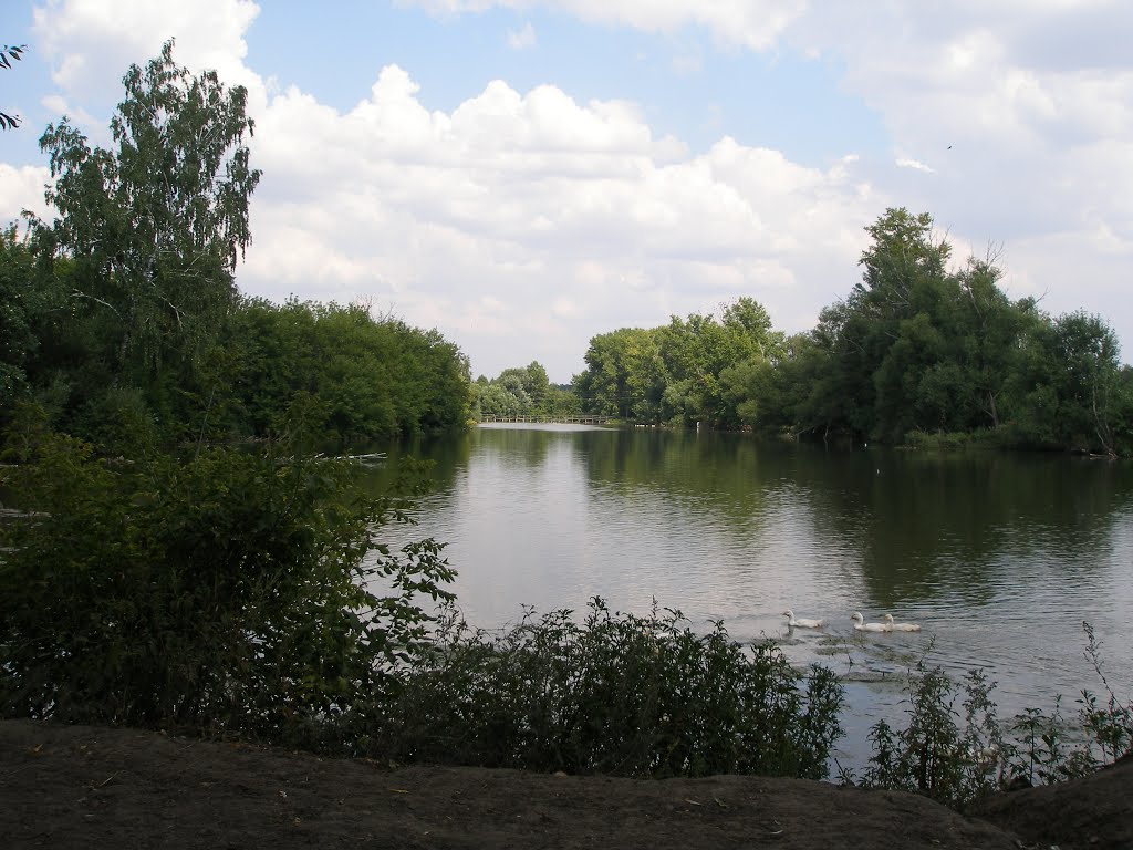Михайловский пруд