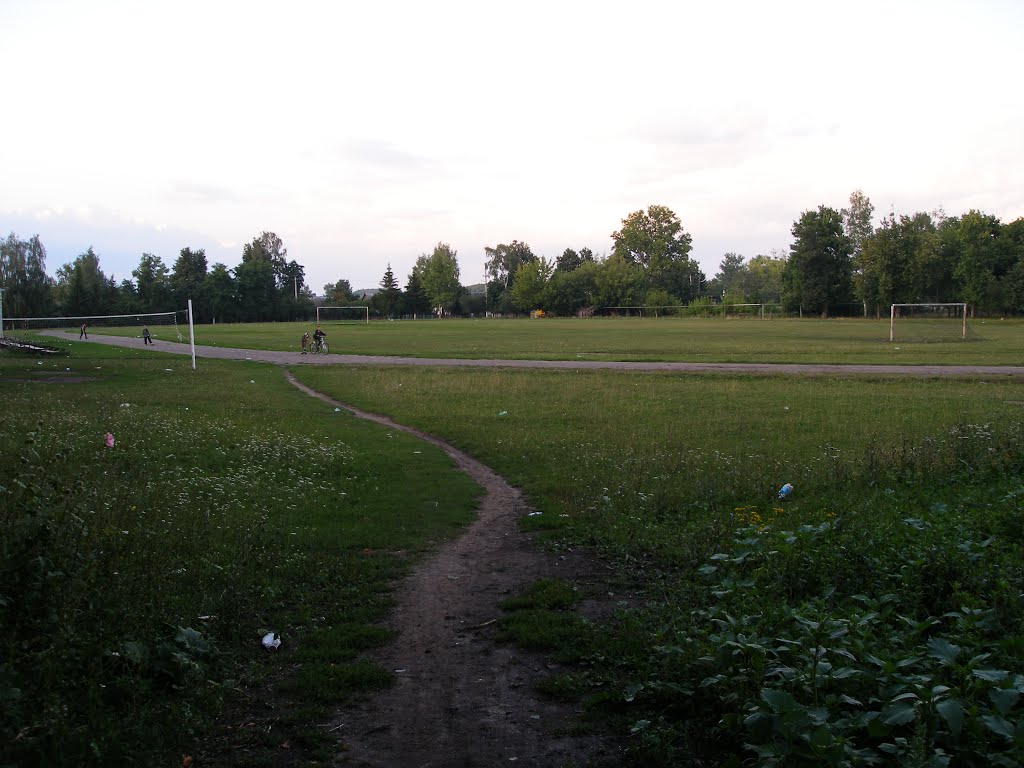 Стадион п.Долгое