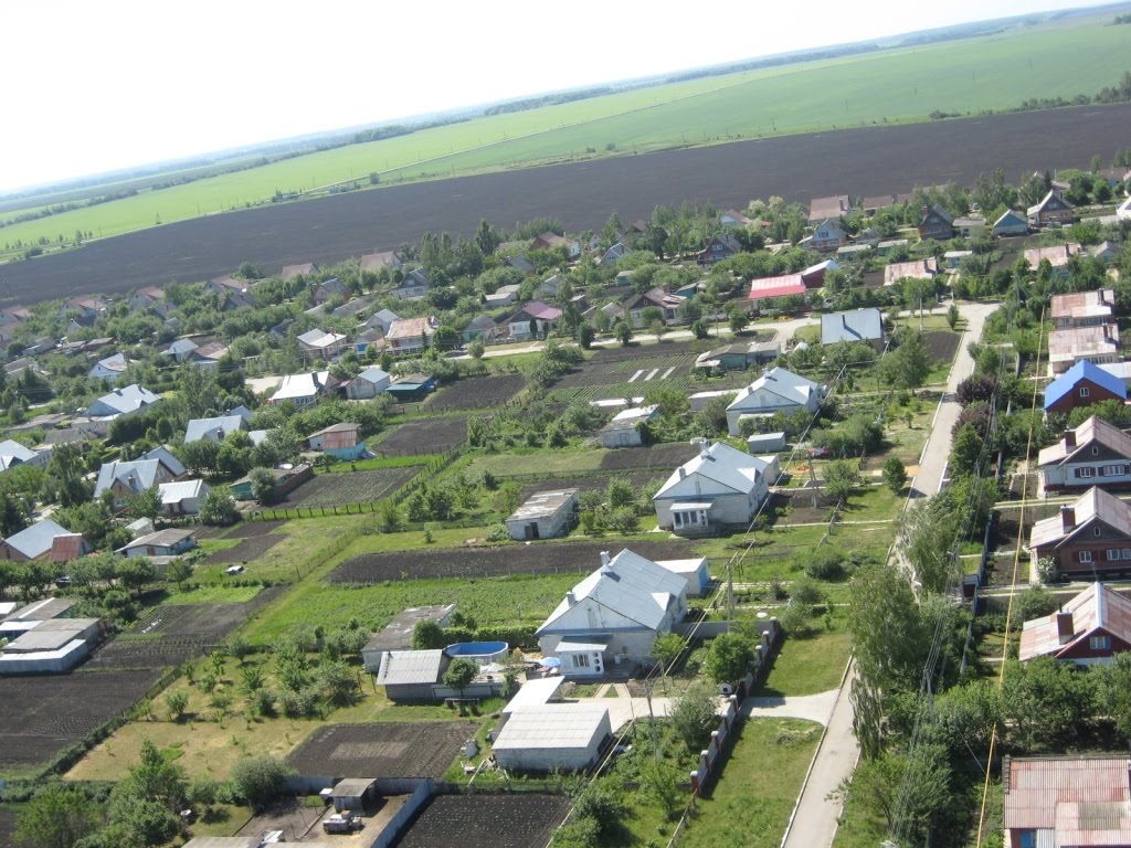 Тамбовский