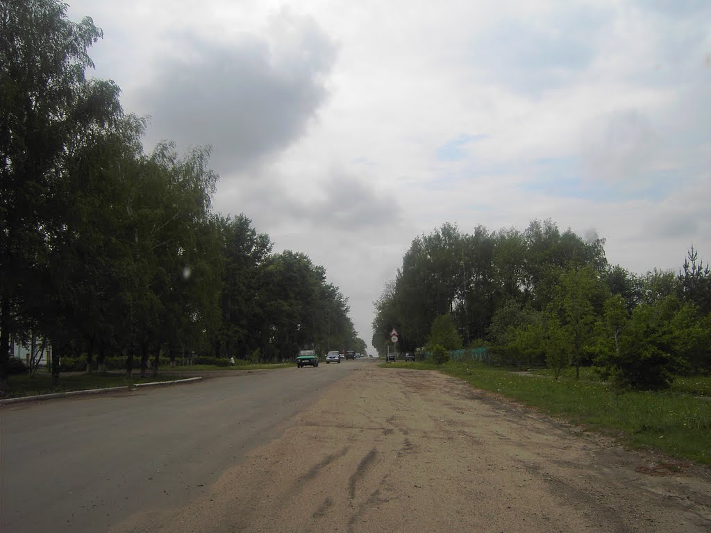 Залегощь, дорога