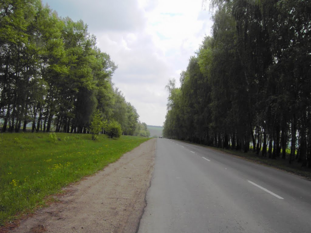 "Стены" вдоль дороги