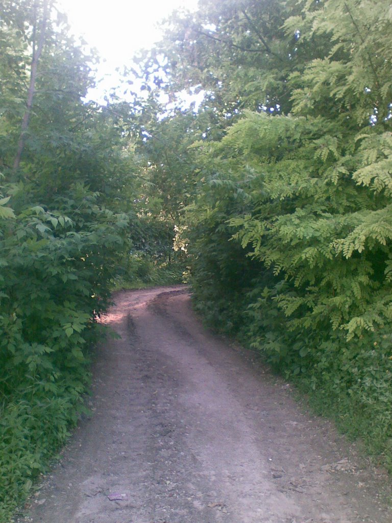 Зеленый корридор (The Green corridor)