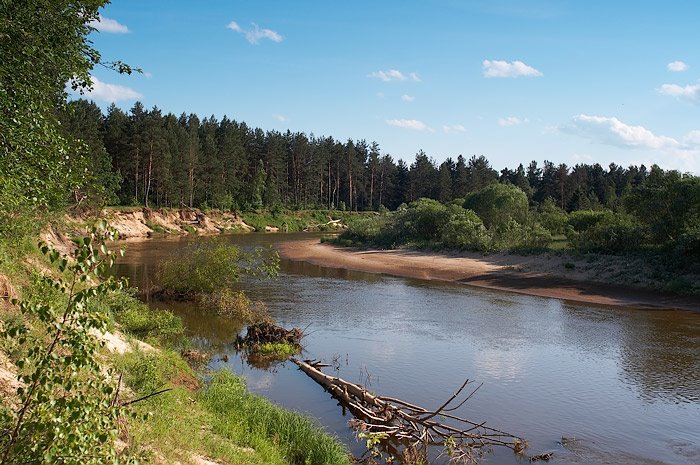 Zhizdra