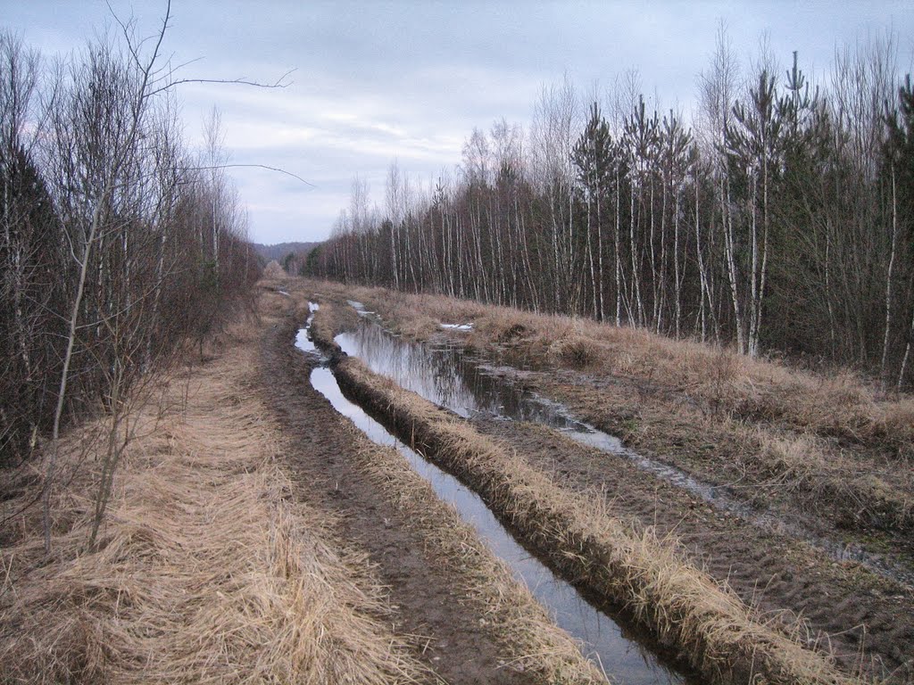 Дорога на полигон