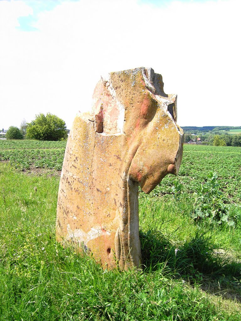 Странный камень (The Weird stone)