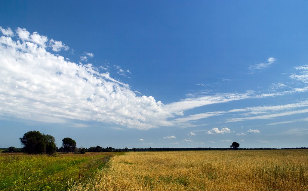 Midsummer/Макушка лета