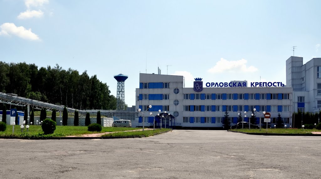 Орловскя крепость.