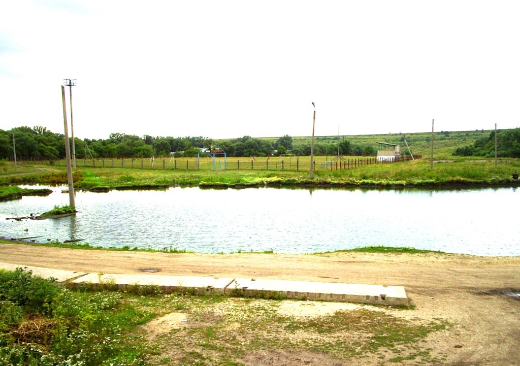 Стадион(Озерки)