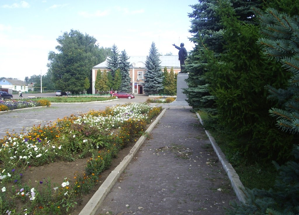 ул.Торговая(РОНО)