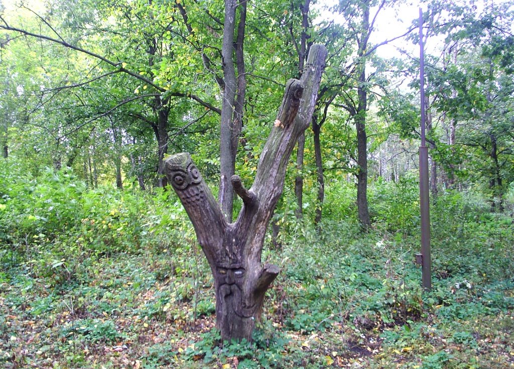парк