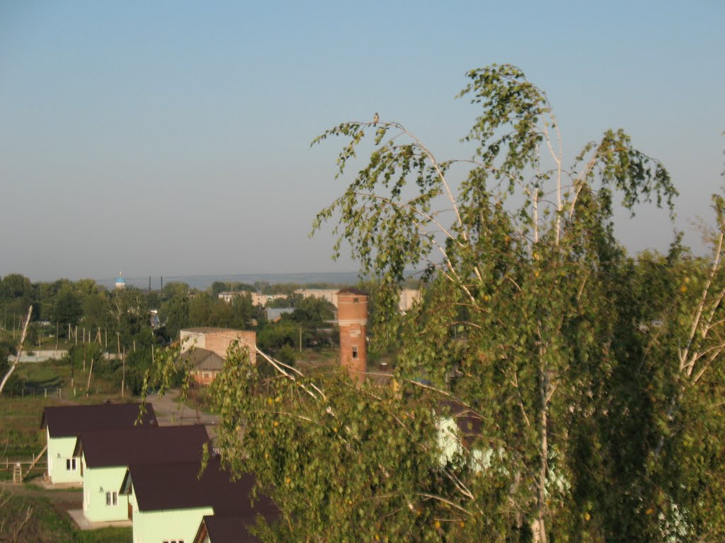 Кромы