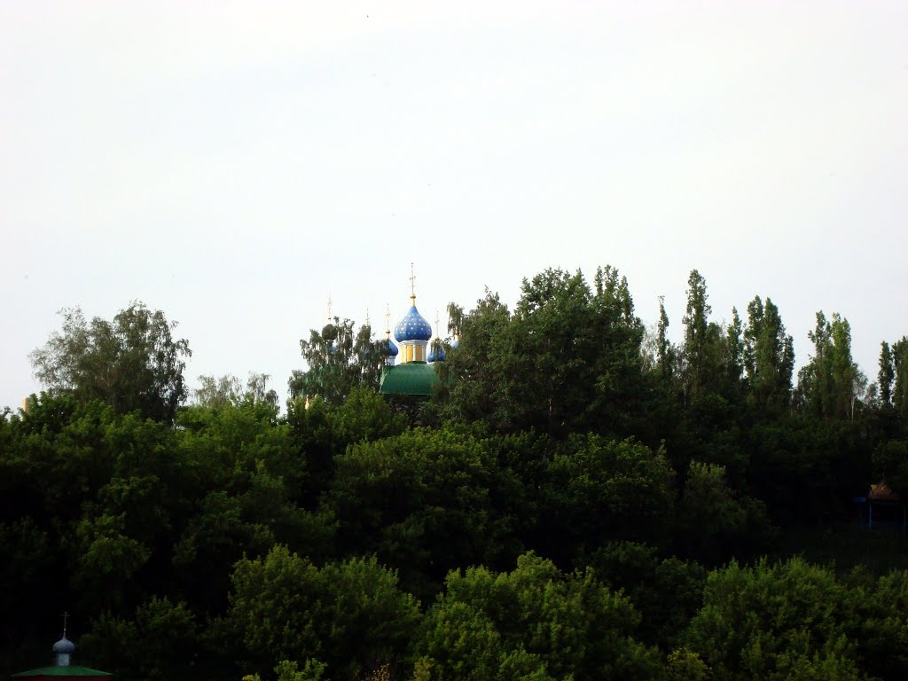 Ливны.Орловская обл.Храм.Вид с моста.