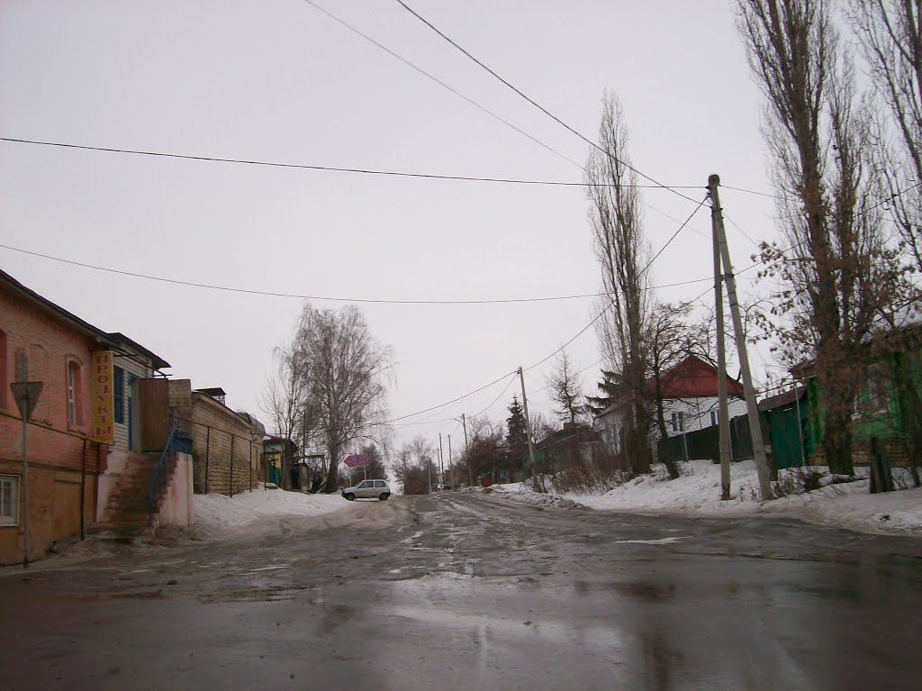 Ливны. Улица Аникушкина